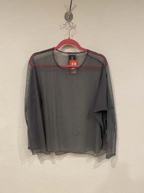 Sympli Barely Cinch Top Womens 6 Gray Sheer Mesh Long Sleeve Pullover Blouse